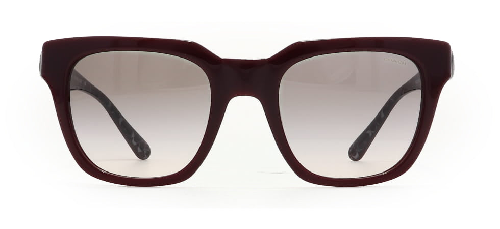 Image of Coach Eyewear Frames