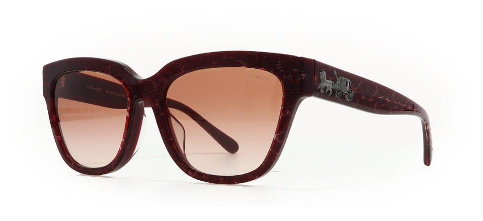 Image of Coach Eyewear Frames