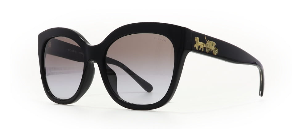 Image of Coach Eyewear Frames