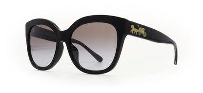Image of Coach Eyewear Frames