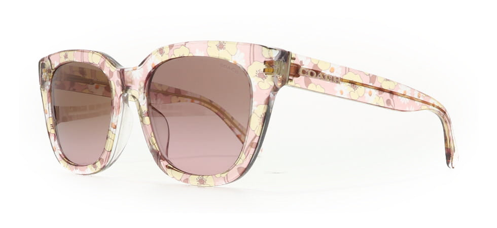 Image of Coach Eyewear Frames