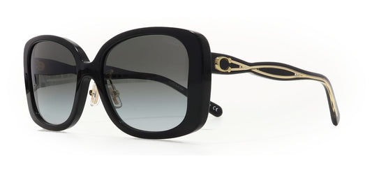 Image of Coach Eyewear Frames