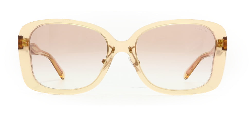 Image of Coach Eyewear Frames