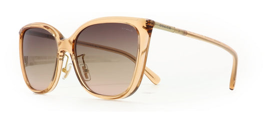 Image of Coach Eyewear Frames