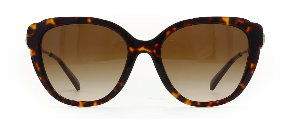 Image of Coach Eyewear Frames