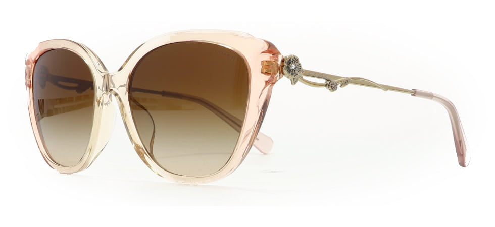 Image of Coach Eyewear Frames