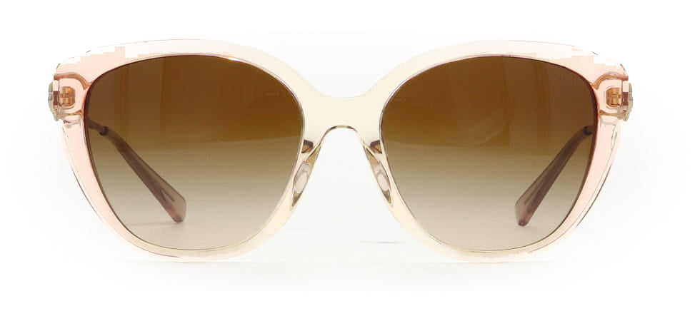 Image of Coach Eyewear Frames