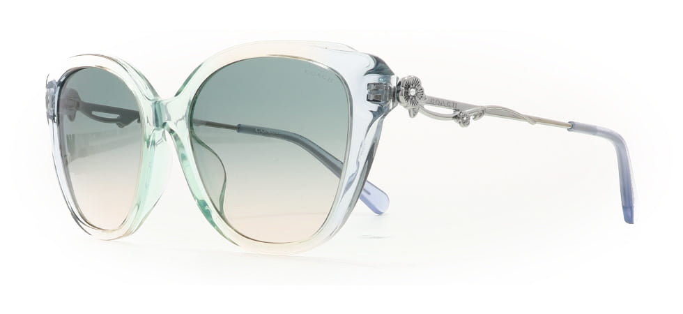 Image of Coach Eyewear Frames
