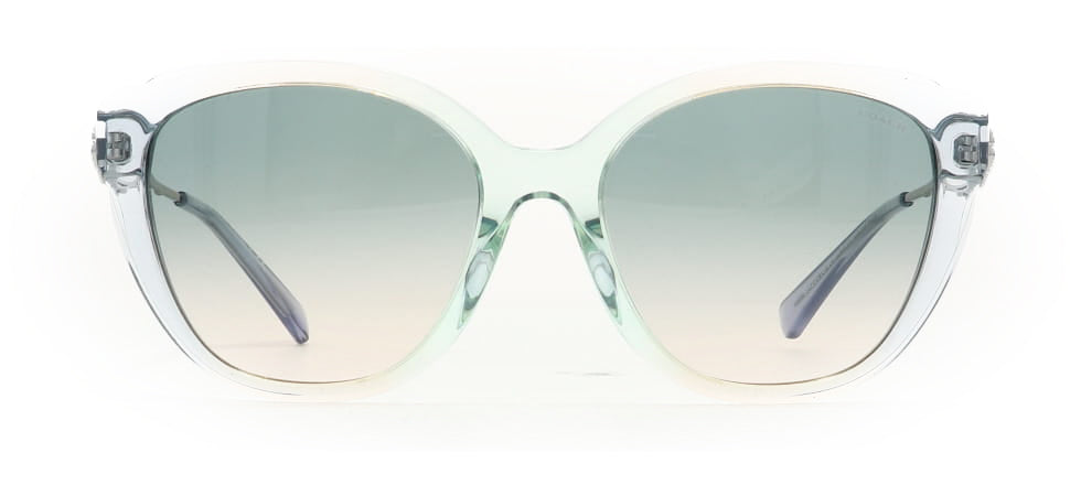 Image of Coach Eyewear Frames