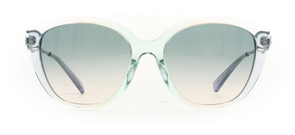 Image of Coach Eyewear Frames