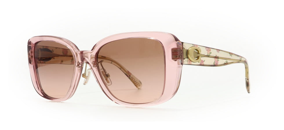 Image of Coach Eyewear Frames