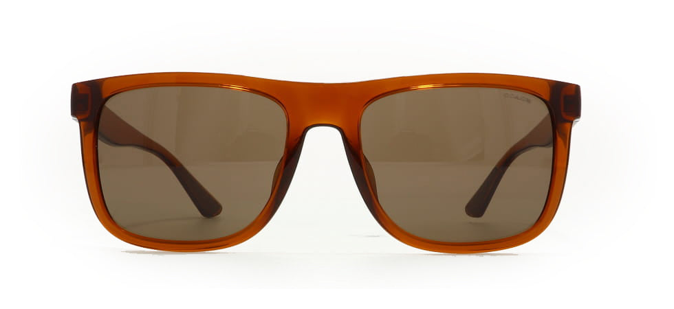 Image of Coach Eyewear Frames