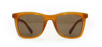 Image of Coach Eyewear Frames