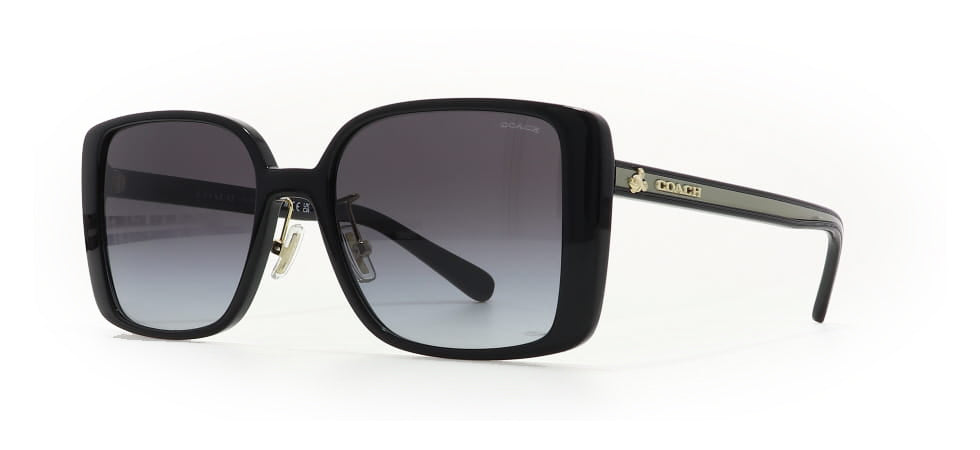 Image of Coach Eyewear Frames