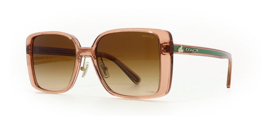 Image of Coach Eyewear Frames