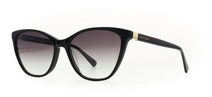 Image of Longchamp Eyewear Frames