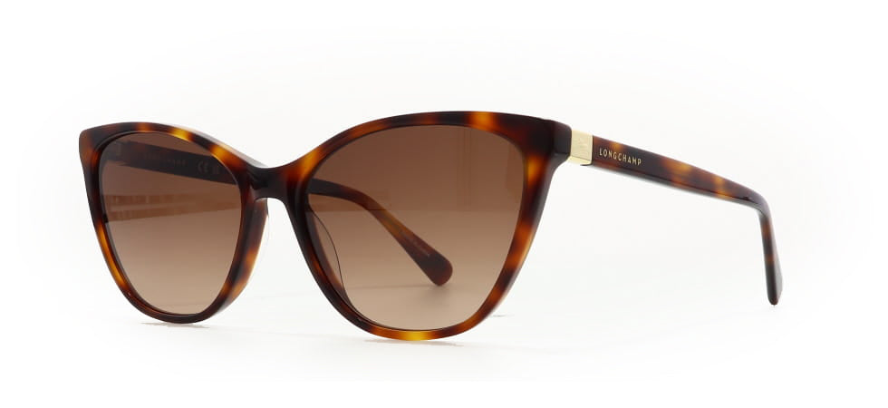 Image of Longchamp Eyewear Frames