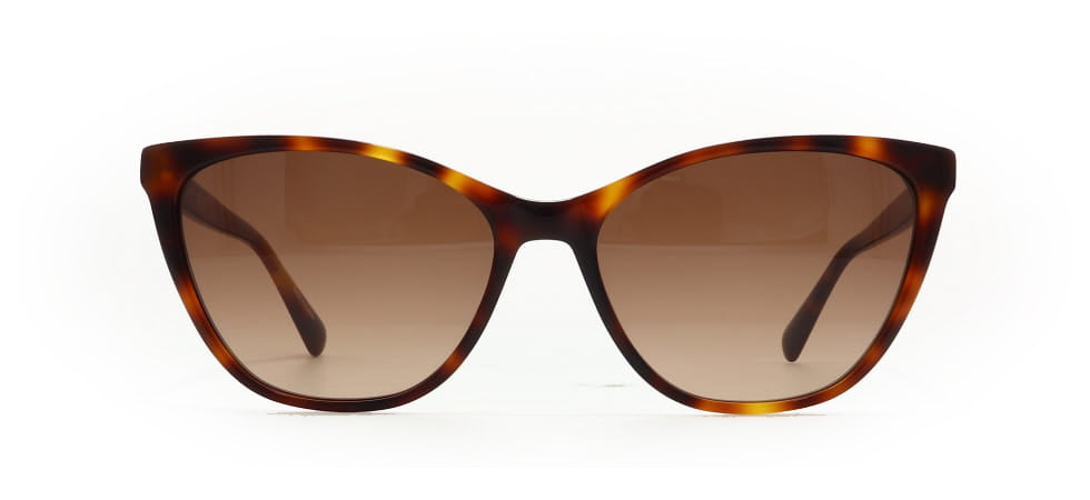 Image of Longchamp Eyewear Frames