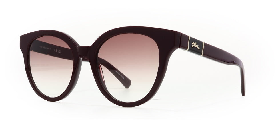 Image of Longchamp Eyewear Frames