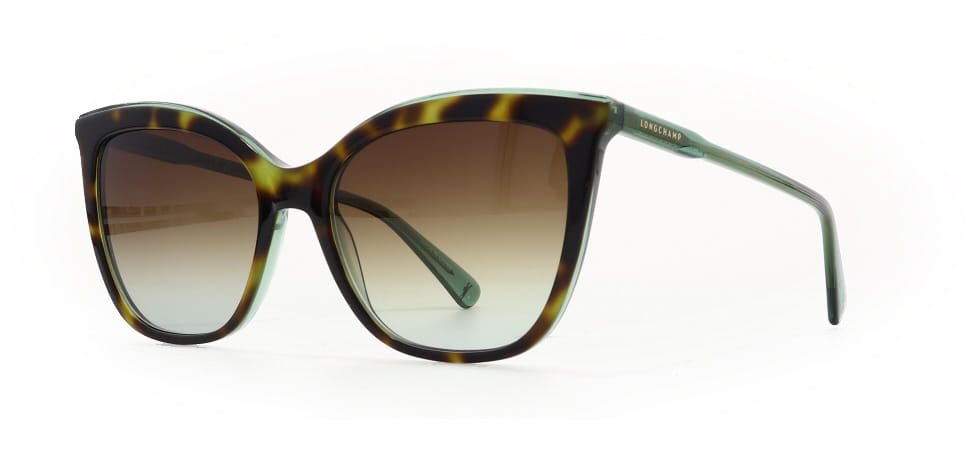 Image of Longchamp Eyewear Frames