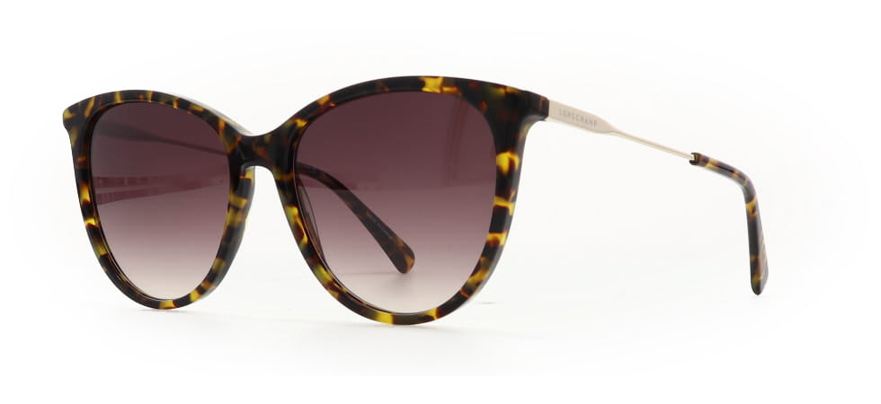 Image of Longchamp Eyewear Frames