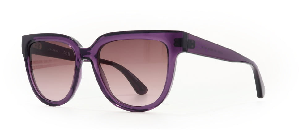 Image of Longchamp Eyewear Frames