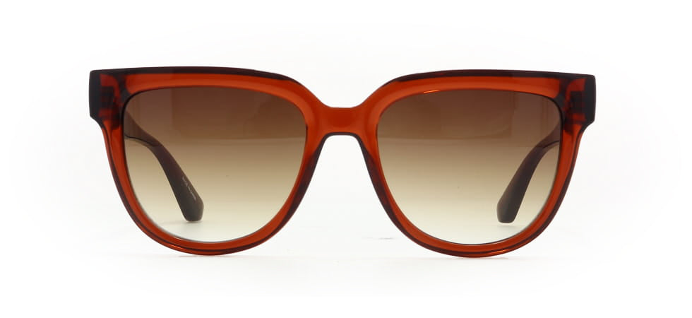 Image of Longchamp Eyewear Frames