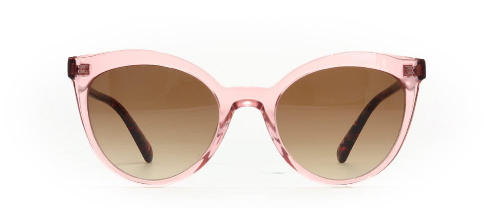 Image of Nifties Eyewear Frames