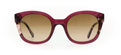 Image of Nifties Eyewear Frames