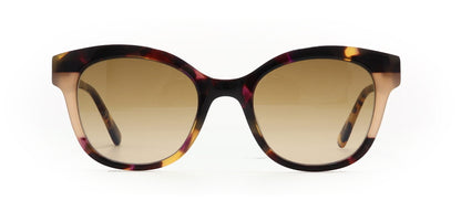 Image of Nifties Eyewear Frames