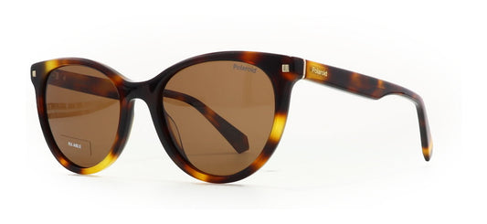 Image of Polaroid Core Eyewear Frames