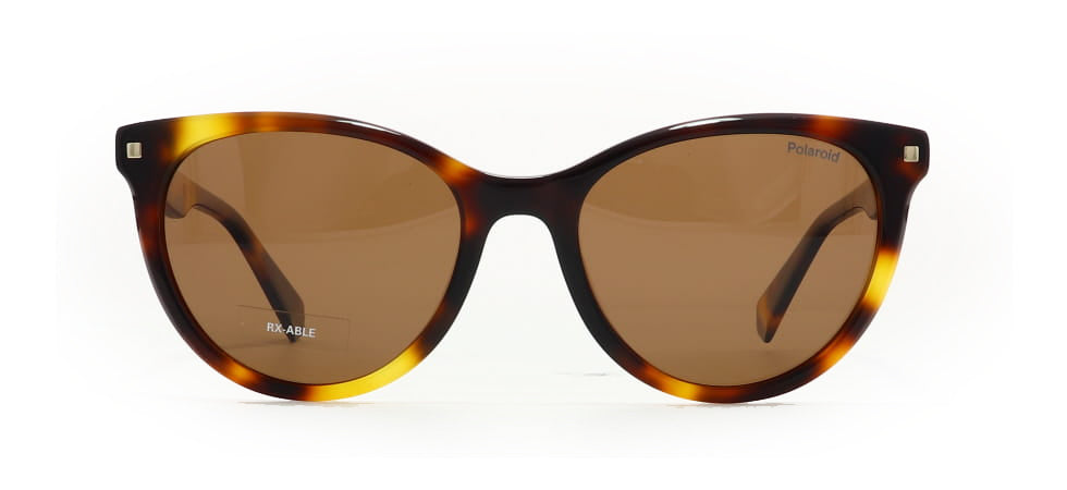 Image of Polaroid Core Eyewear Frames