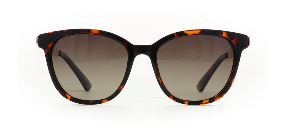 Image of Polaroid Core Eyewear Frames