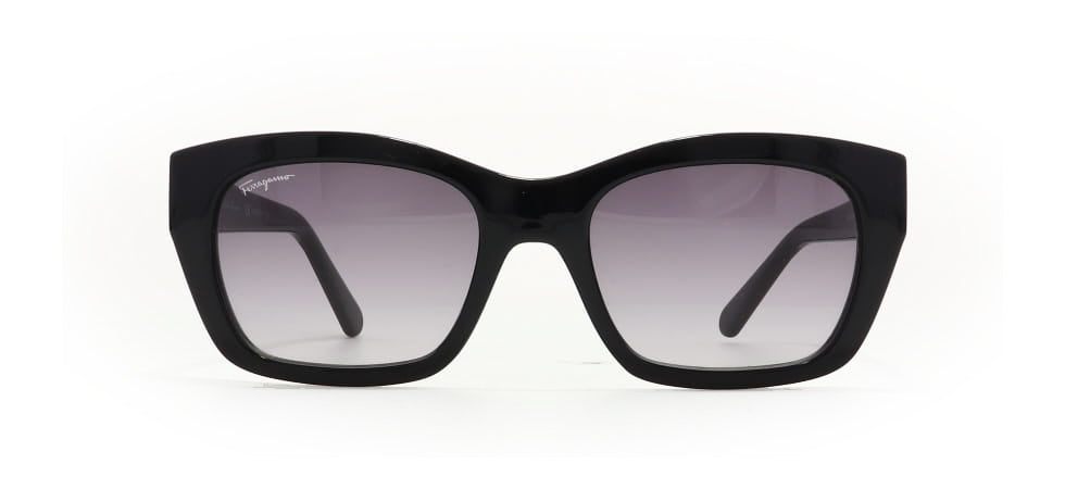 Image of Salvatore Ferragamo Eyewear Frames