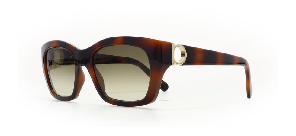 Image of Salvatore Ferragamo Eyewear Frames