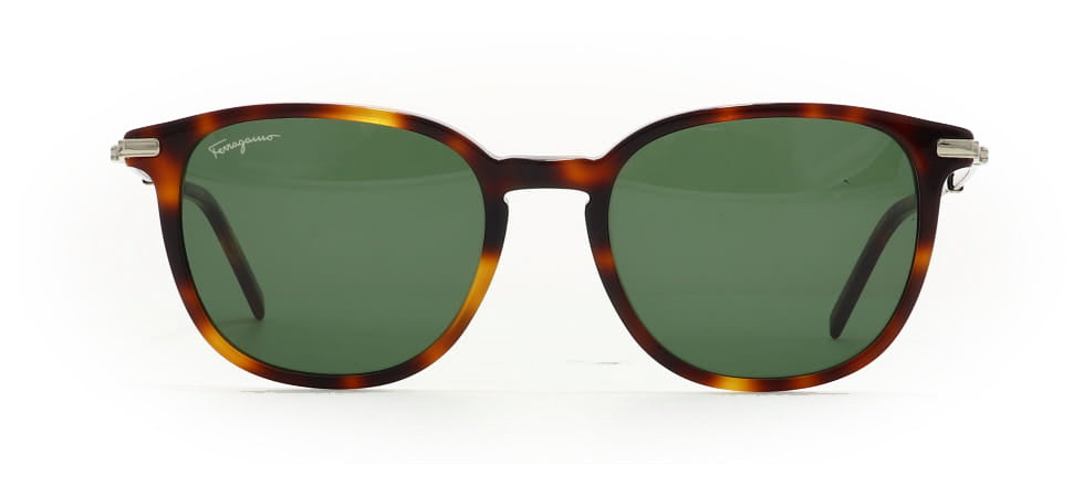 Image of Salvatore Ferragamo Eyewear Frames