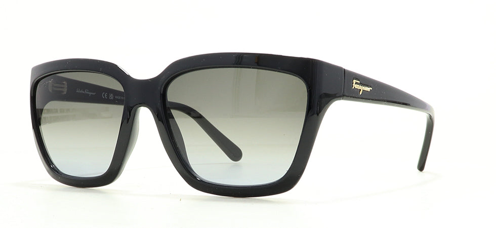 Image of Salvatore Ferragamo Eyewear Frames