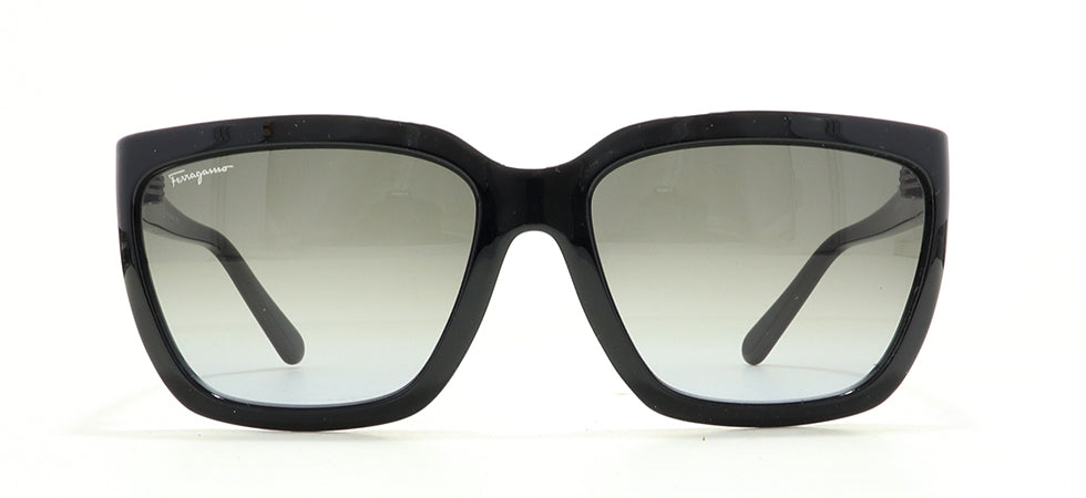 Image of Salvatore Ferragamo Eyewear Frames