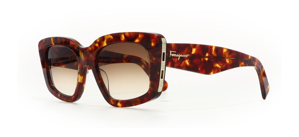 Image of Salvatore Ferragamo Eyewear Frames