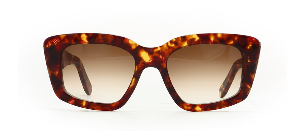 Image of Salvatore Ferragamo Eyewear Frames