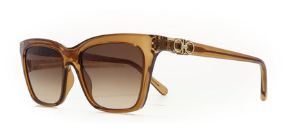 Image of Salvatore Ferragamo Eyewear Frames