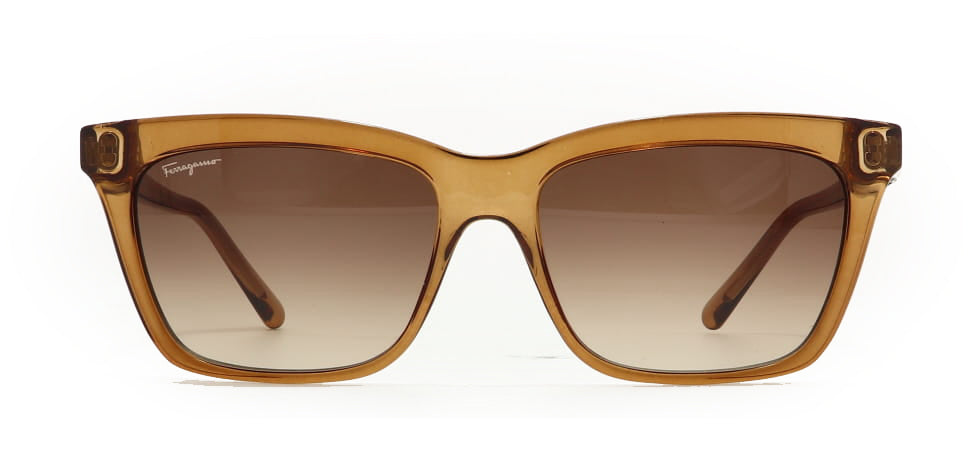 Image of Salvatore Ferragamo Eyewear Frames