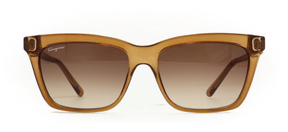 Image of Salvatore Ferragamo Eyewear Frames