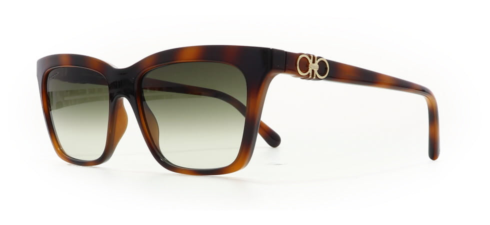 Image of Salvatore Ferragamo Eyewear Frames