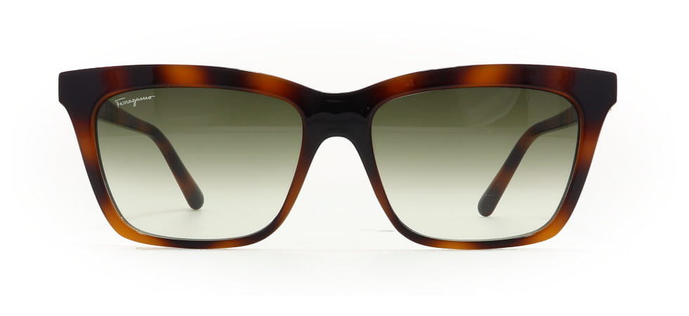 Image of Salvatore Ferragamo Eyewear Frames