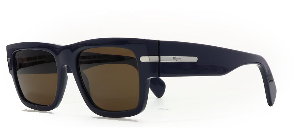 Image of Salvatore Ferragamo Eyewear Frames