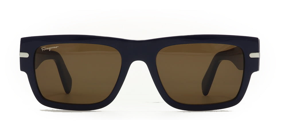 Image of Salvatore Ferragamo Eyewear Frames