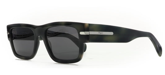 Image of Salvatore Ferragamo Eyewear Frames