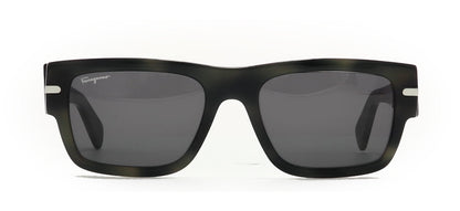 Image of Salvatore Ferragamo Eyewear Frames