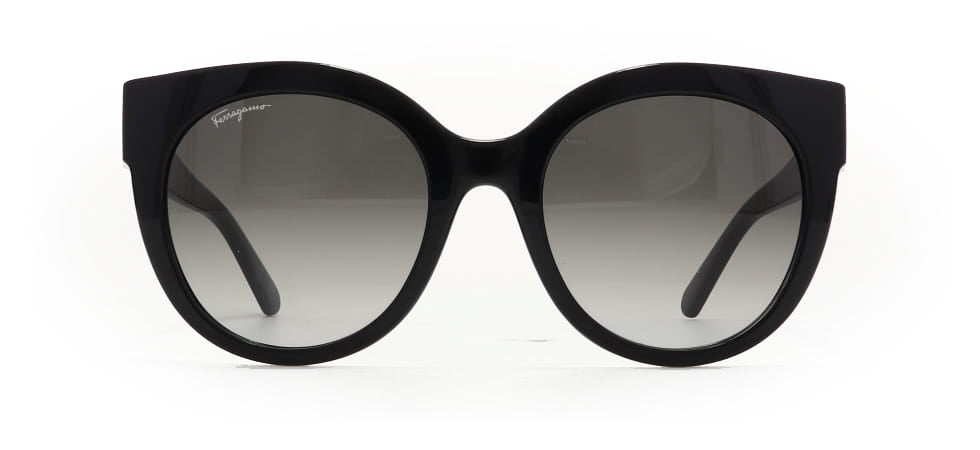 Image of Salvatore Ferragamo Eyewear Frames